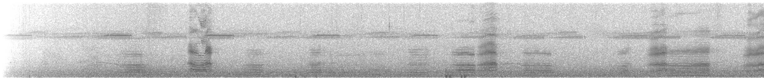 Australian Raven - ML629081366