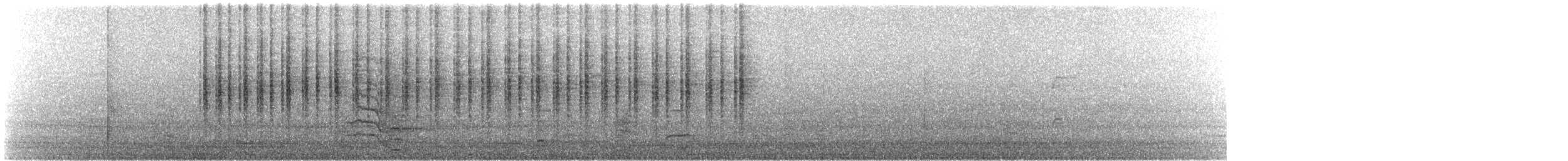 Gartenfächerschwanz - ML629081539