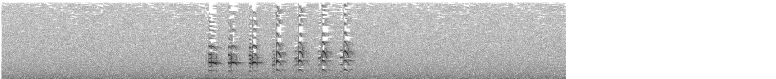 Andean Gull - ML629090693