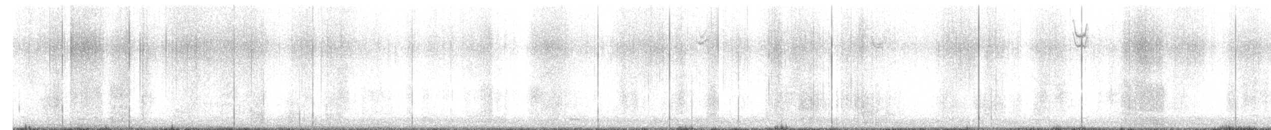 Gadwall - ML629095689