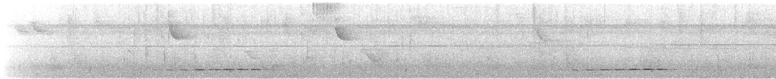 Thicket Antpitta - ML629097793