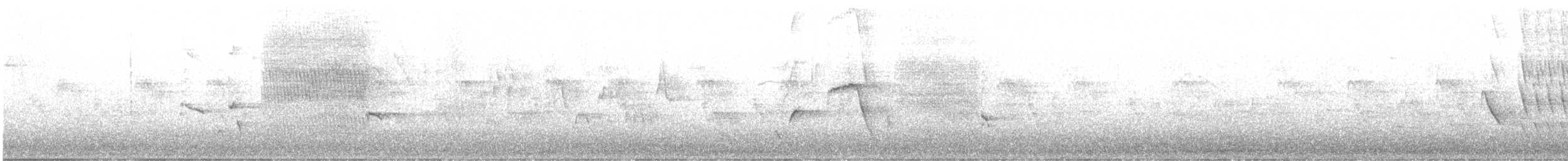 Щетинкопер великий - ML629098990