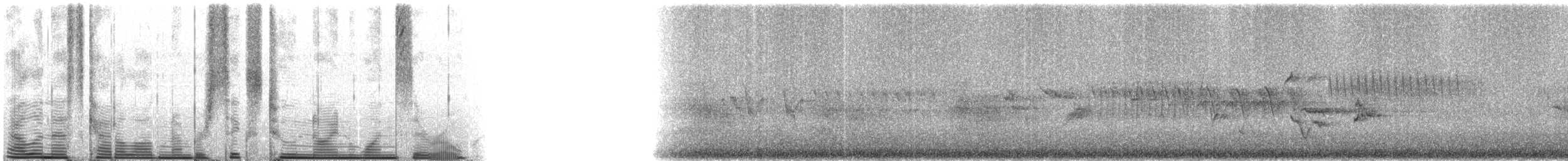 Northern House Wren - ML62910