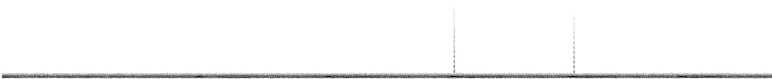 Band-tailed Pigeon - ML629106327
