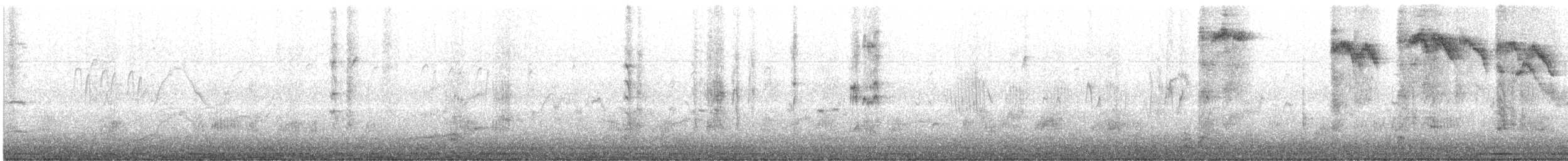Хар тодол - ML629106761