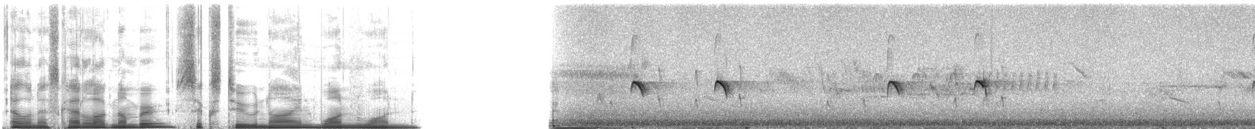 Pygmy Nuthatch - ML62911