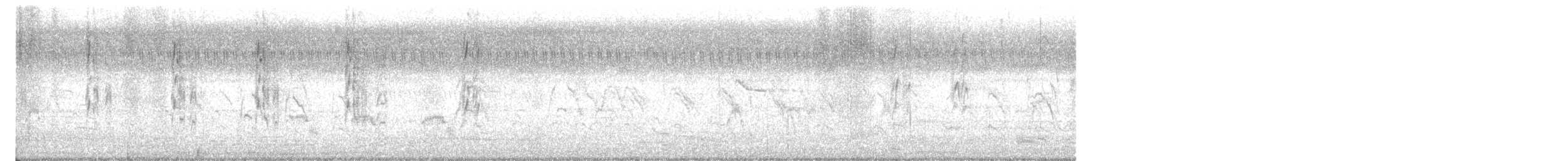 Pied Kingfisher - ML629110941