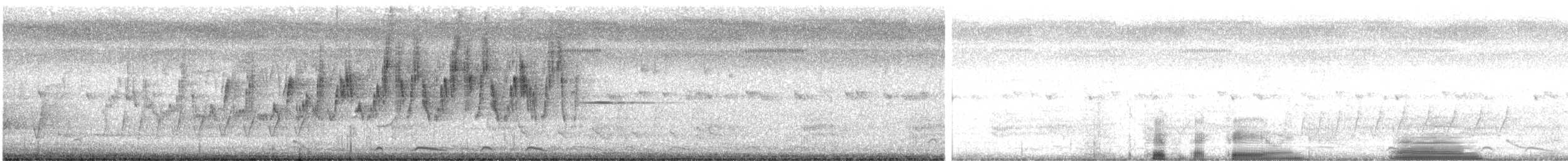 ムナグロオーストラリアムシクイ - ML629120170