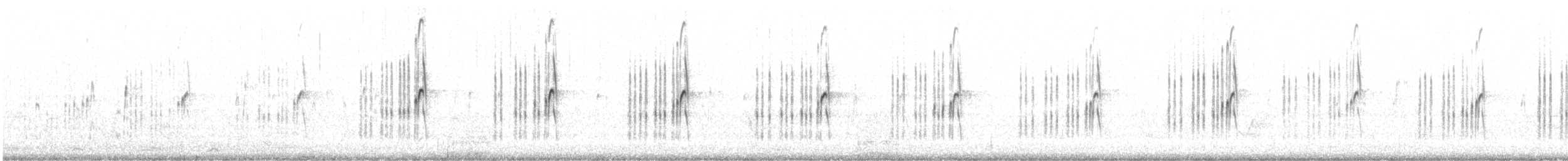 Black-fronted Dotterel - ML629121424
