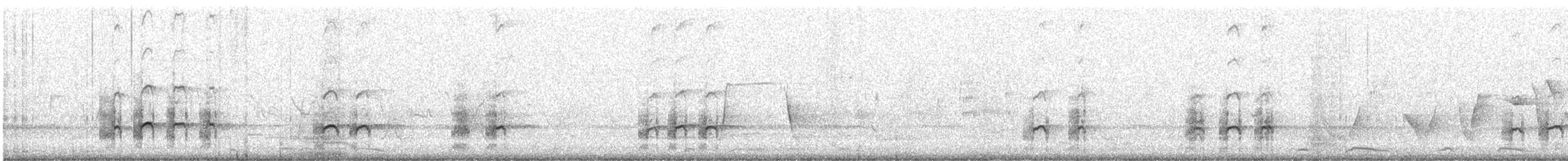 コシャクシギ - ML629121452