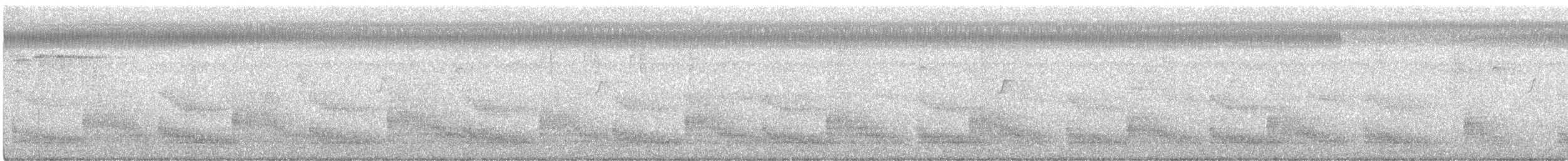 Plain Bush-hen - ML629123518
