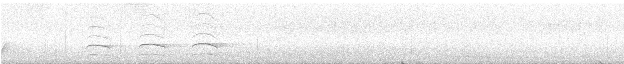 eukalyptushauk - ML629124635
