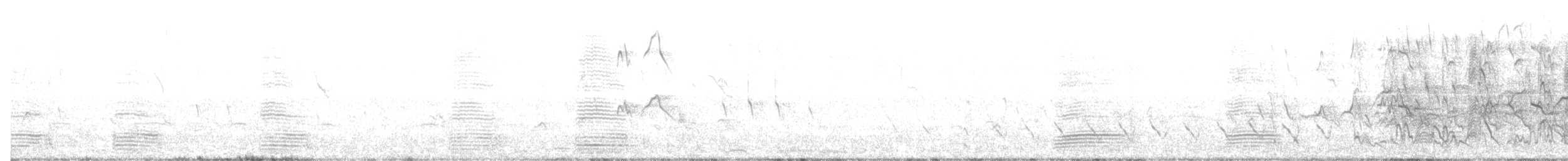 Plumed Whistling-Duck - ML629126998