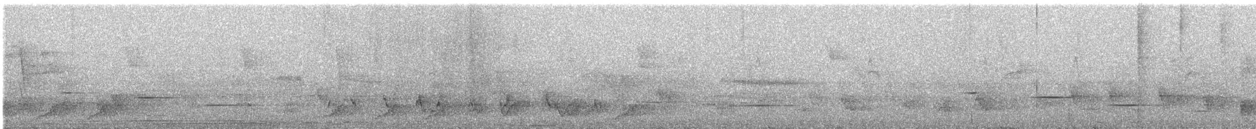 Doherty's Bushshrike - ML629127412