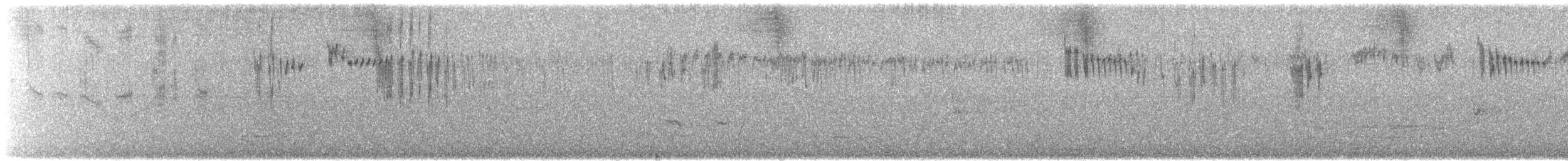 Splendid Fairywren - ML629129870