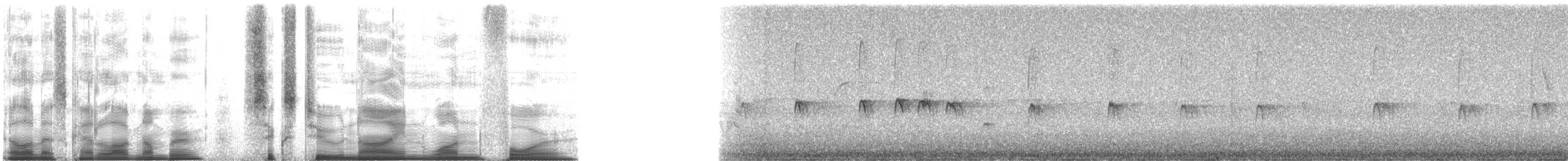 Pygmy Nuthatch - ML62914