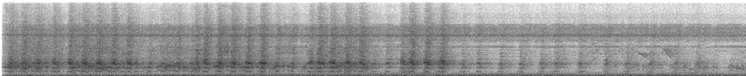 Speckled Chachalaca (Speckled) - ML629144209