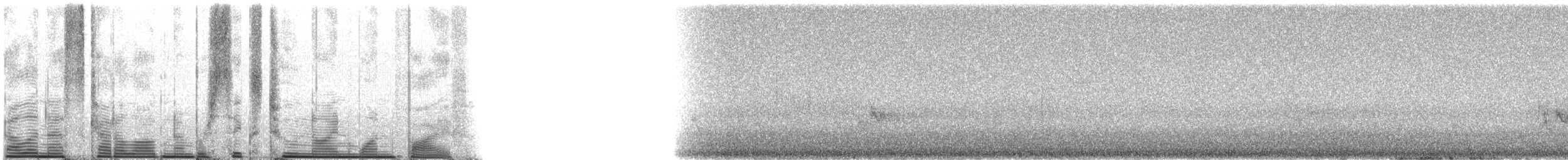 グレースアメリカムシクイ - ML62915