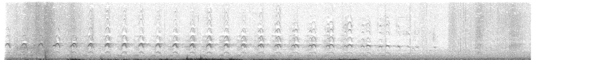 Western Gull - ML629158659