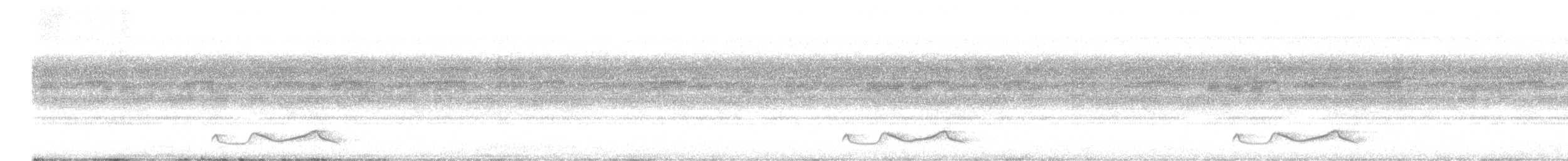 Belizenachtschwalbe - ML629160203