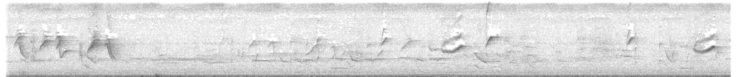 Rufous-banded Honeyeater - ML629160548