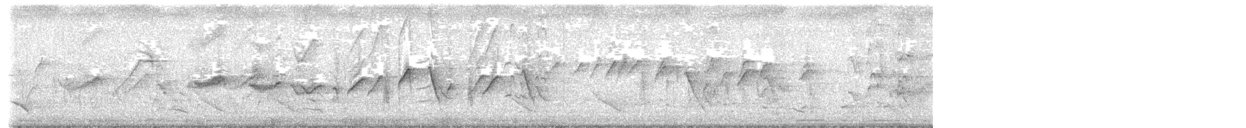 Rufous-banded Honeyeater - ML629160549