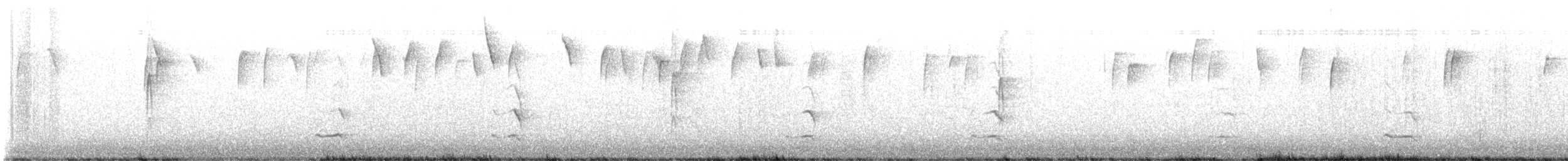 Audubon's Oriole - ML629163167