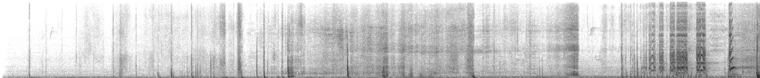 hummingbird sp. - ML629165672