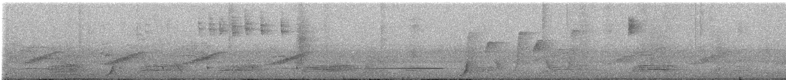オーストラリアメンガタカササギビタキ - ML629170492