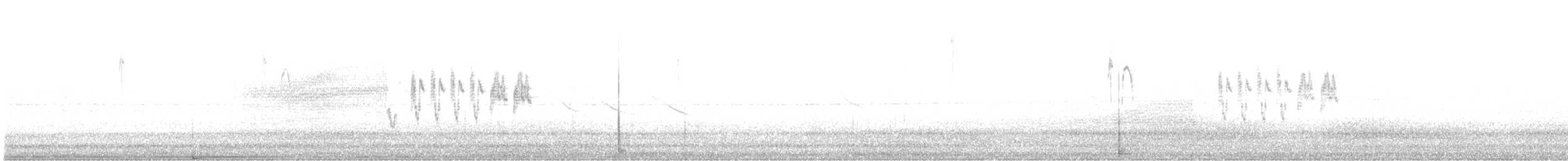 Weißbauchpieper - ML629180156
