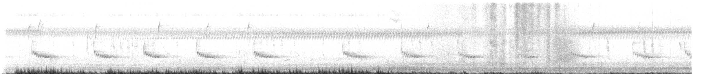 Carolina Wren - ML629181576