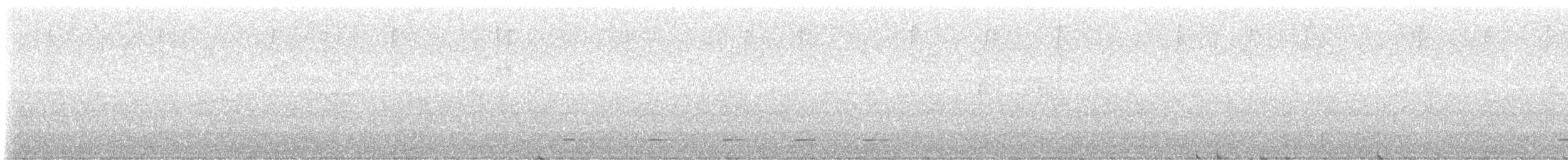 Colima Pygmy-Owl - ML629181593