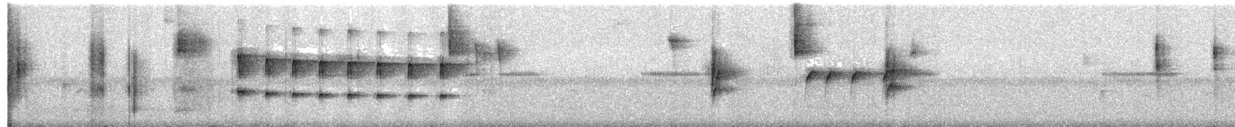 Russet Antshrike - ML629182229
