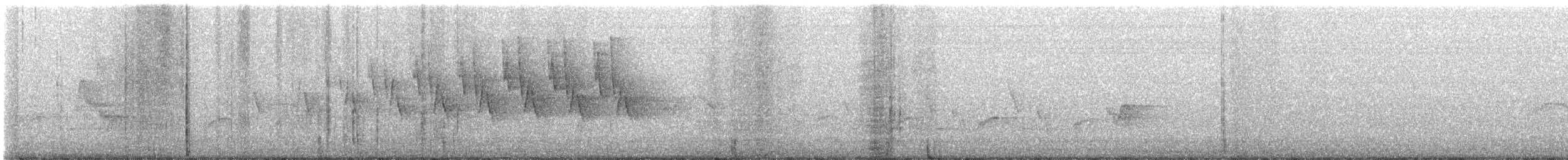 チャバラマユミソサザイ - ML629184690