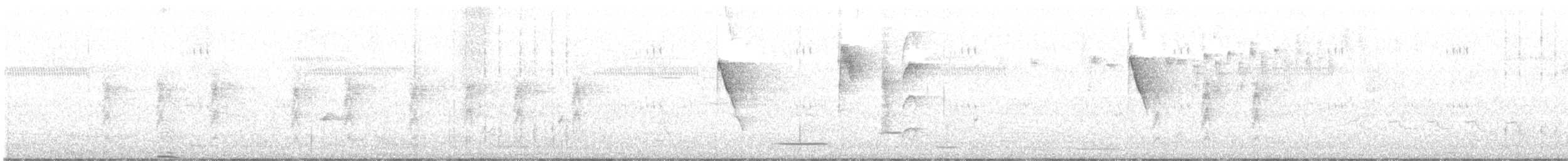 White-eared Monarch - ML629186216