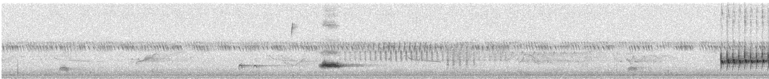 Yellow-breasted Chat - ML629191852