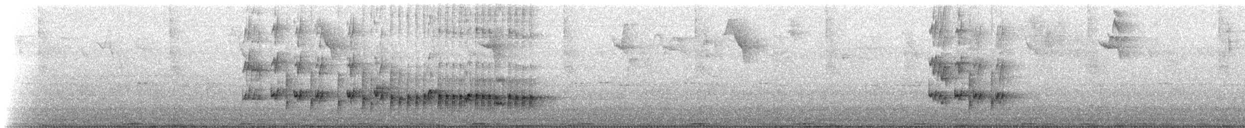 Loggerhead Kingbird (Loggerhead) - ML629192719