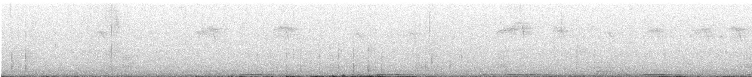 Band-tailed Pigeon (Northern) - ML629194648