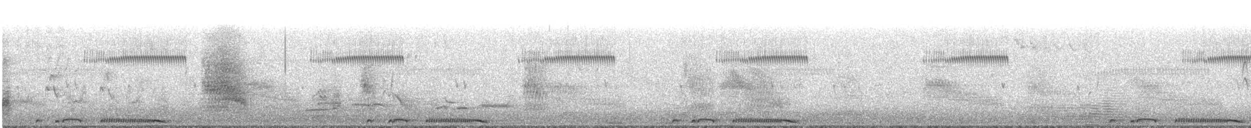 Spotted Dove - ML629195798