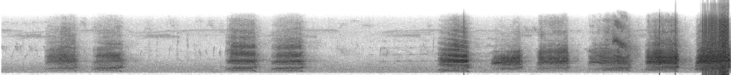 Sulphur-crested Cockatoo - ML629195812