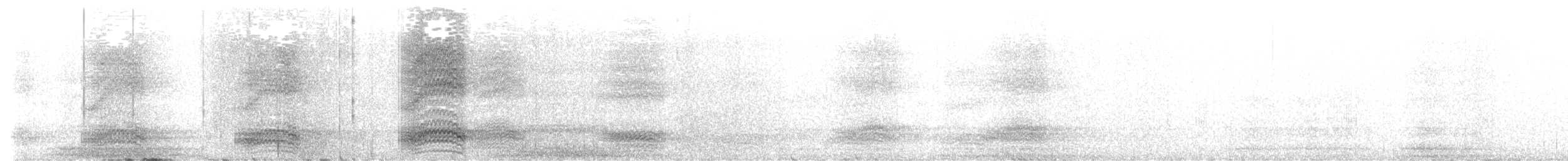Hispaniolan Palm-Crow - ML629196084