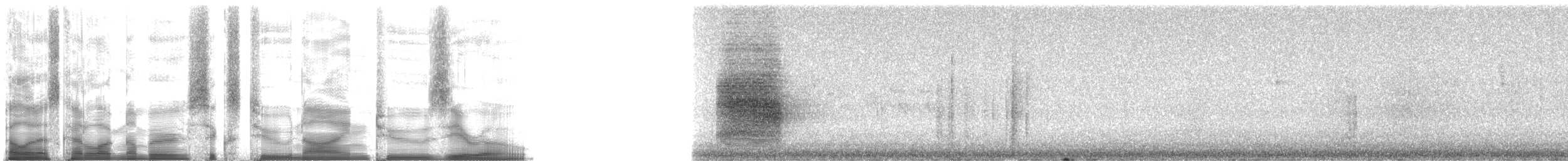 Steller's Jay (Southwest Interior) - ML62920