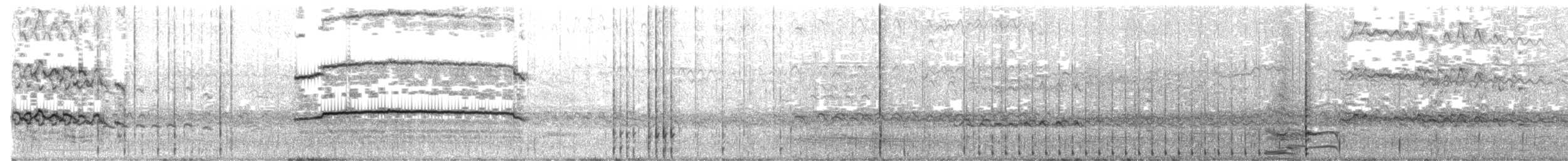 Laysan Albatross - ML629202868