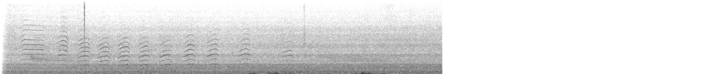 Belcher's Gull - ML629209683