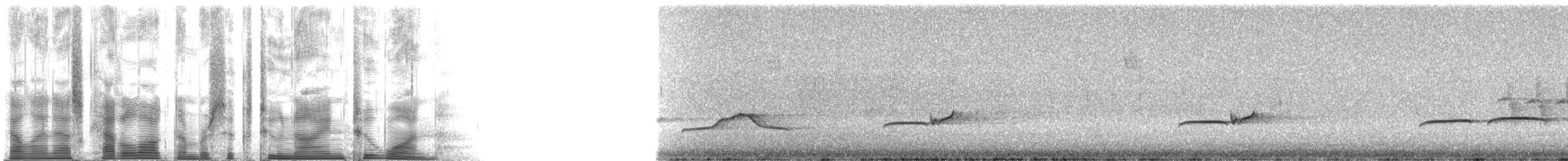 Greater Pewee (Mexican) - ML62921