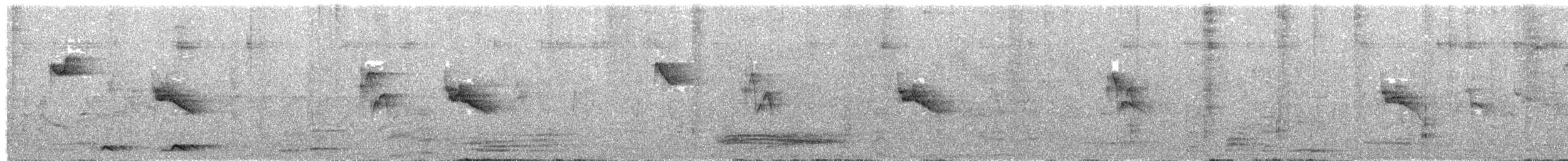 Зээрд сүвээт гархи нүдэн - ML629214133
