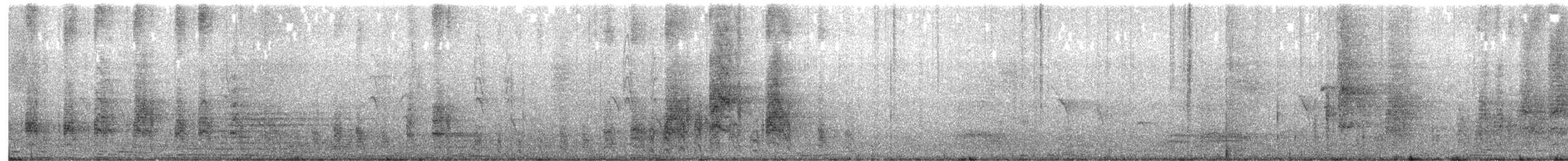 sýček brahmínský - ML629215054