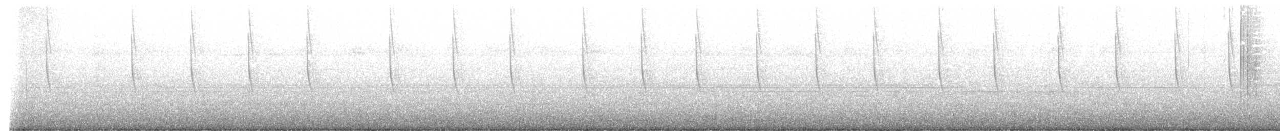 Broad-tailed Hummingbird - ML629222215