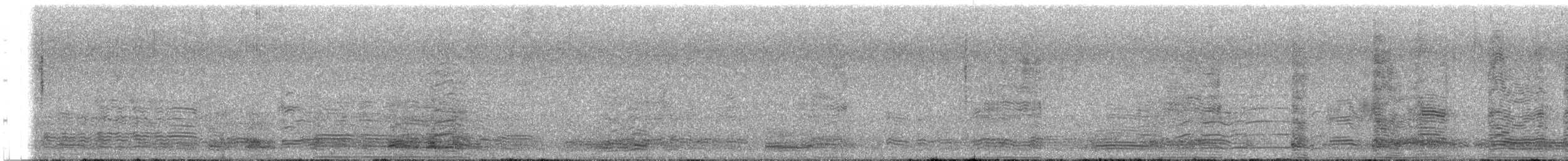Бор галуу - ML629224864