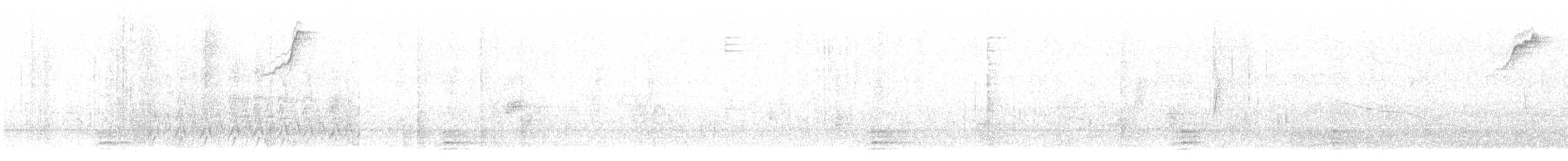 Bronzed Cowbird - ML629227063